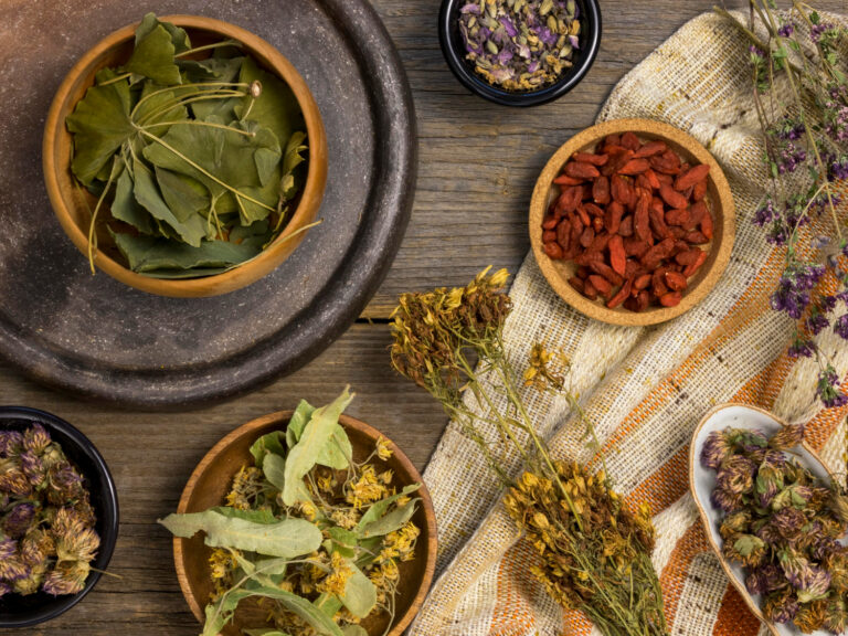 Les meilleures plantes detox à connaître